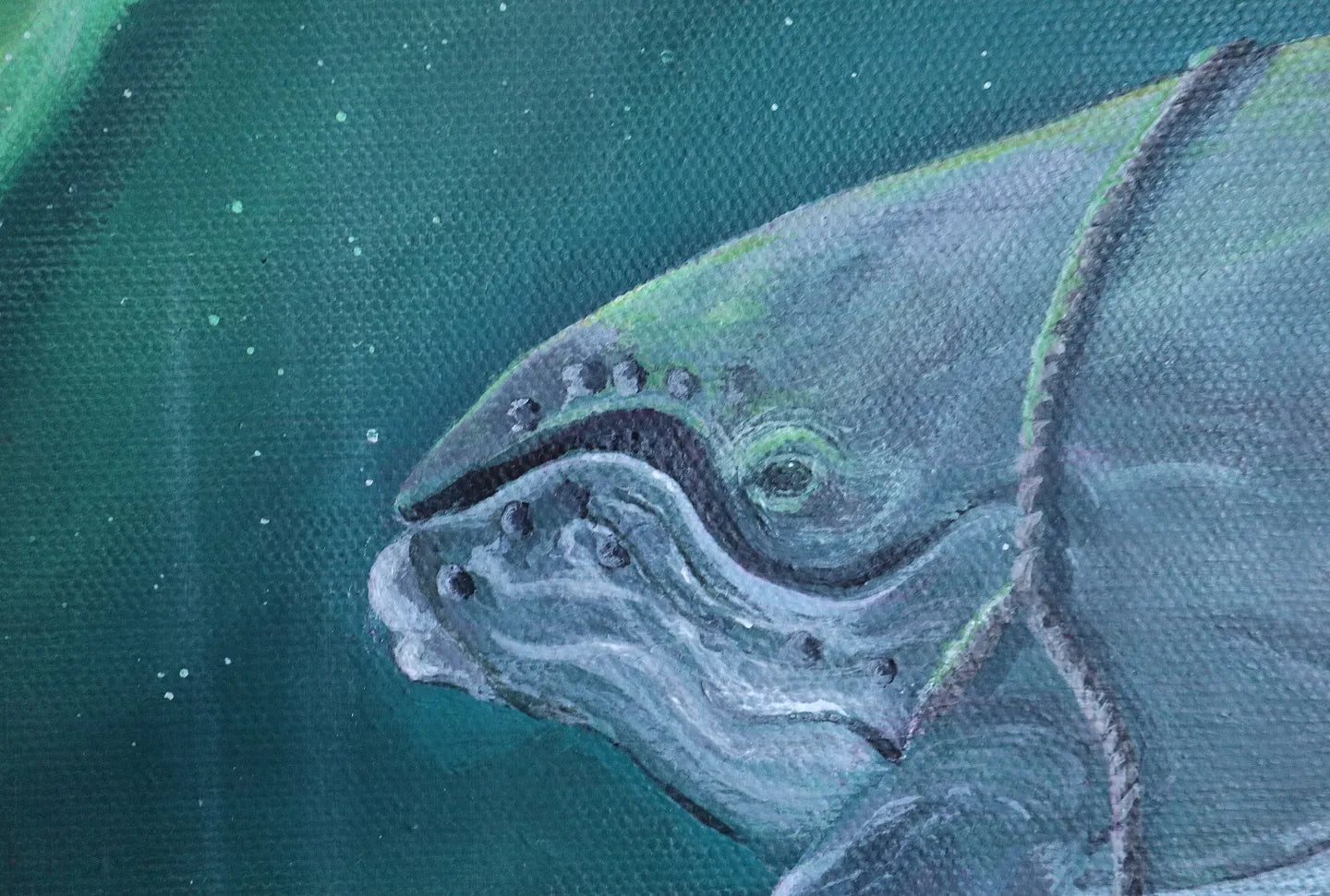 Humpback Zeppelin